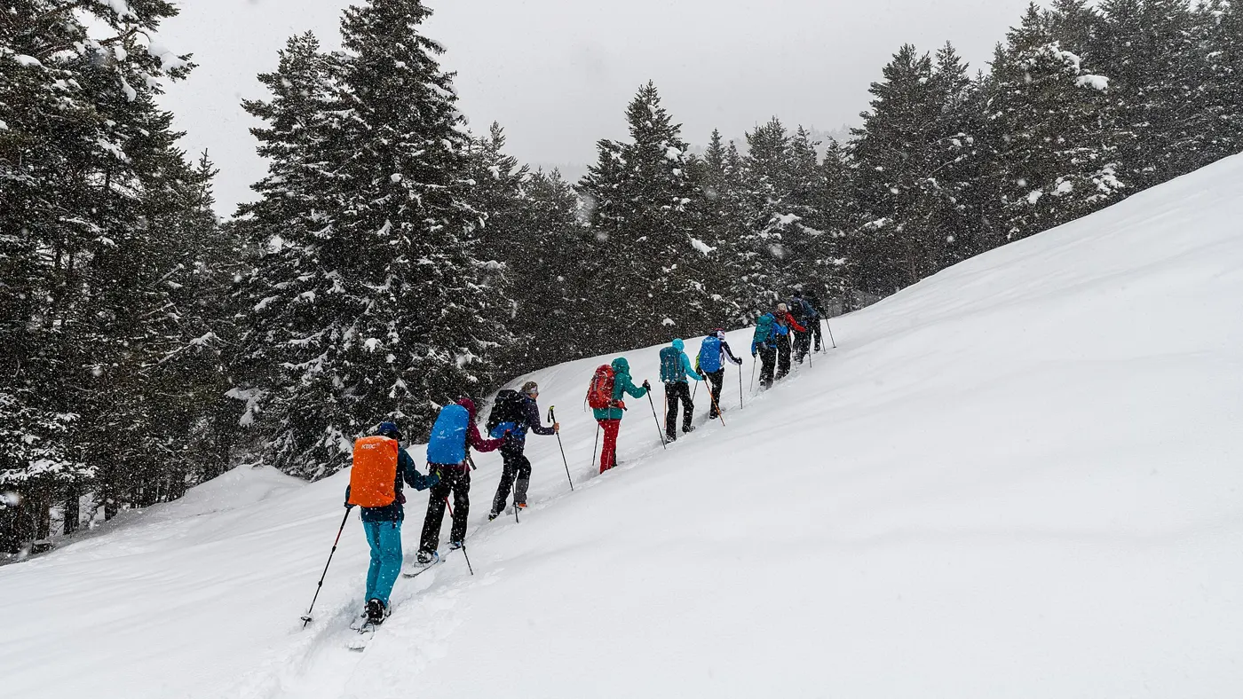 Gear for Cold-Weather Hiking: What the Tundra Taught Me