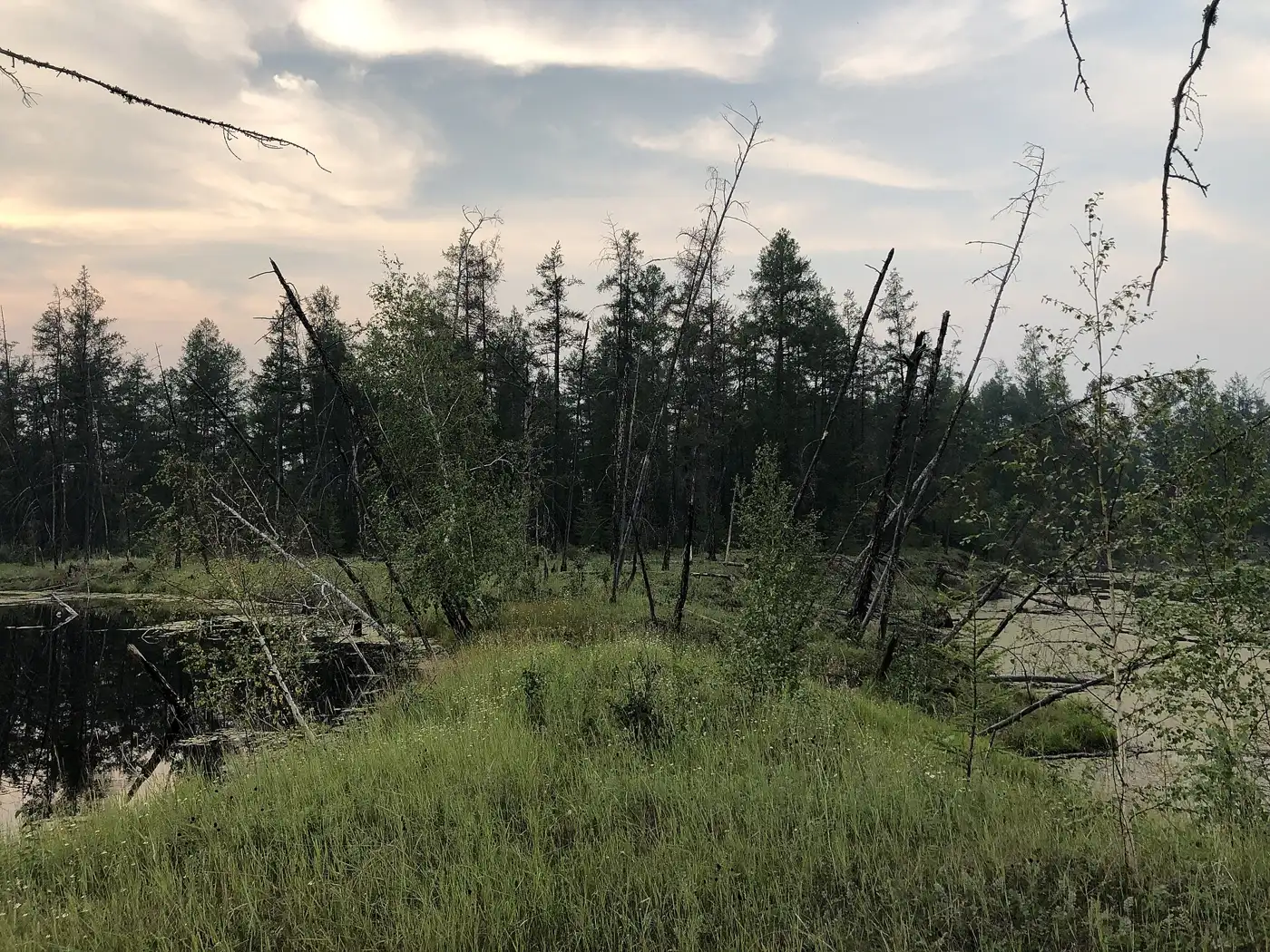 Permafrost: The Ground That Remembers